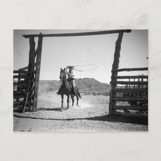Carte Postale Rupture de cowboy