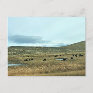 Carte Postale Rural Baker County, Oregon Canvas Imprimer