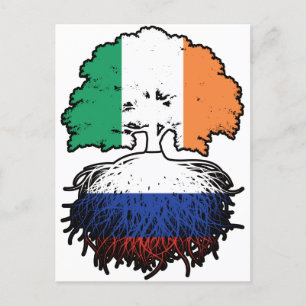 Carte Postale Russie Russie Irlande drapeau des racines d'arbre