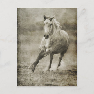 Carte Postale Rustique Galloping Cheval andalou