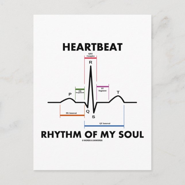 Carte Postale Rythme De Mon Âme (ECG/EKG) (Devant)
