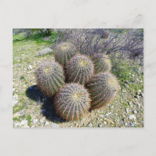 CARTE POSTALE S I X