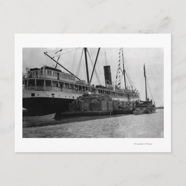 Carte Postale S.S. Alameda à Anchorage, Alaska Photographie (Devant)