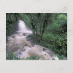 Carte Postale SA, Peru, S.H. Machu Picchu, Cascade and cloud