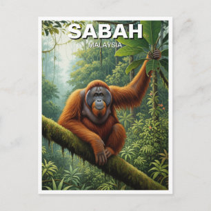 Carte Postale Sabah Malaysia Orangutan Travel