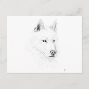 Carte Postale Saber Un Husky Sibérien Dessin D'Oeil Bleu Art