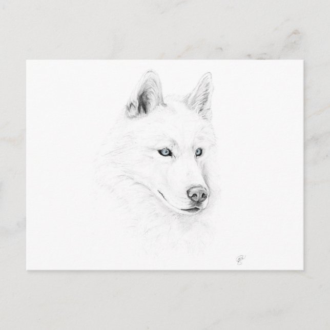 Carte Postale Saber Un Husky Sibérien Dessin D'Oeil Bleu Art (Devant)
