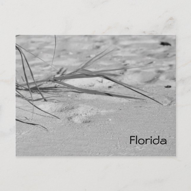 Carte Postale Sable de Floride (Devant)