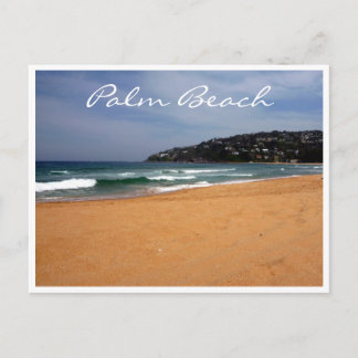 Carte Postale sable de plage de palme