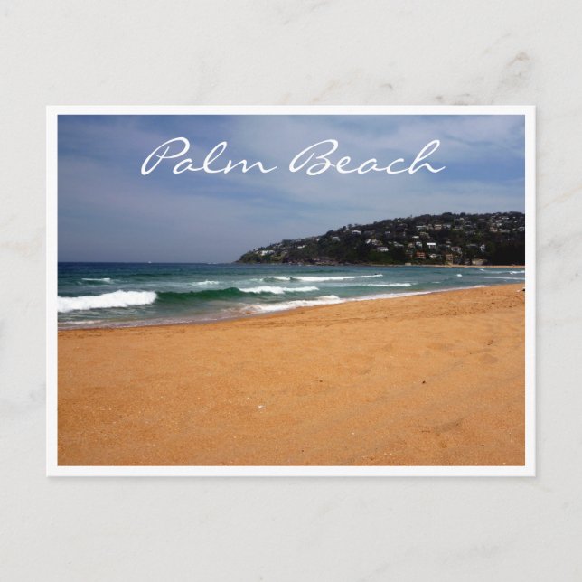 Carte Postale sable de plage de palme (Devant)