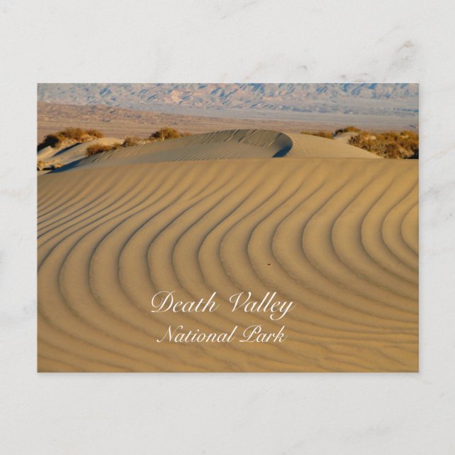 Carte Postale Sable ondulé, Mesquite Flat, Parc national de la v (Devant)