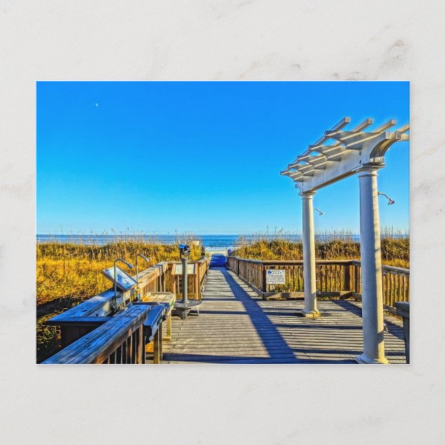 Carte Postale Sable & Surf d'avoine marine ! Hilton Head Island  (Devant)