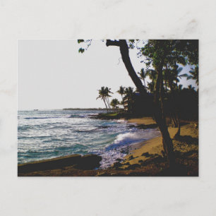 Carte Postale Sable Tropical Doré