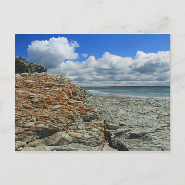 Carte Postale Sachuest Beach Newport Middletown (Devant)