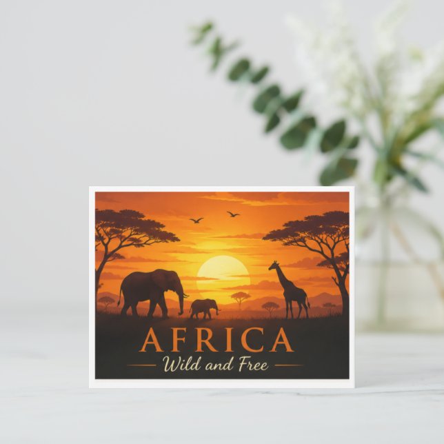Carte postale safari (Debout devant)