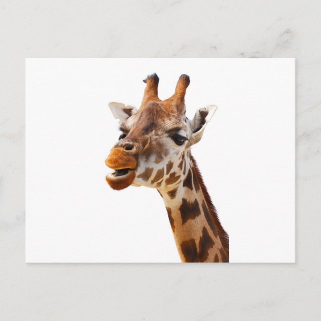 Carte Postale Safari Afrique Jungle Giraffe (Devant)