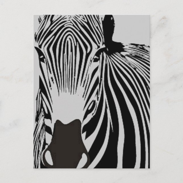 Carte Postale safari animal black and white stripes wild Zebra (Devant)