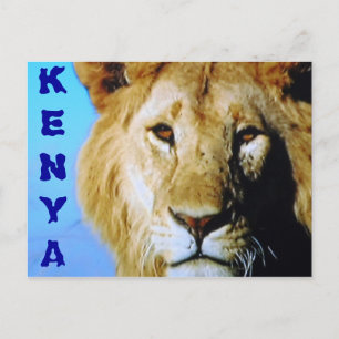 Carte postale safari au Kenya