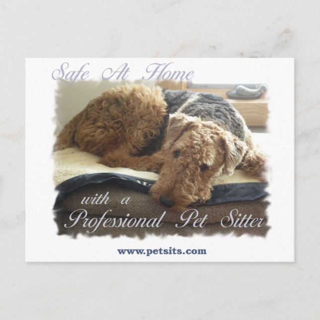 Carte Postale Safe At Home with a Professional Pet Sitter (Devant)