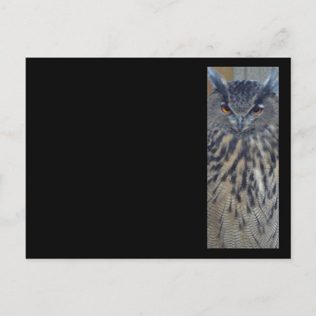 Carte Postale Sage (Devant)