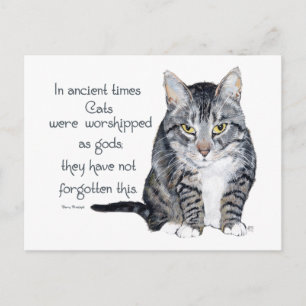 Carte Postale Sagesse de chat - dans les temps anciens, les chat