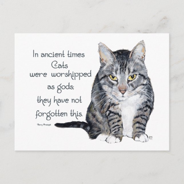 Carte Postale Sagesse de chat - dans les temps anciens, les chat (Devant)