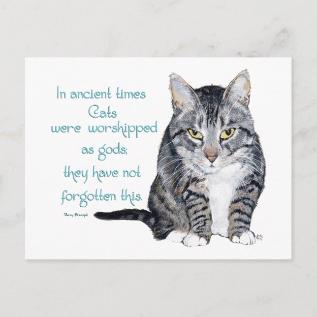 Carte Postale Sagesse de chat - dans les temps anciens, les chat (Devant)