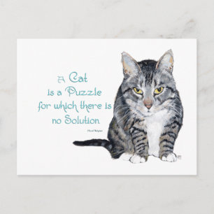 Carte Postale Sagesse de chat - un chat est une énigme