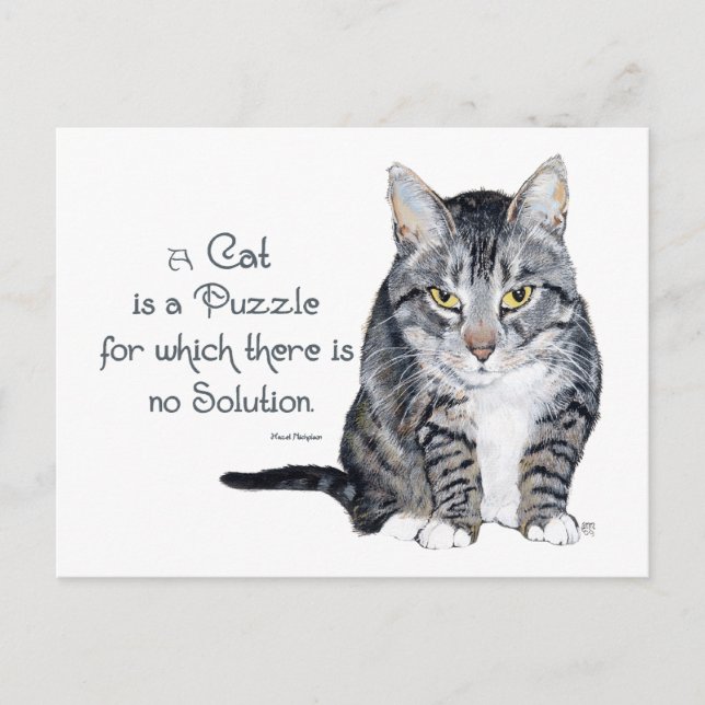 Carte Postale Sagesse de chat - un chat est une énigme (Devant)