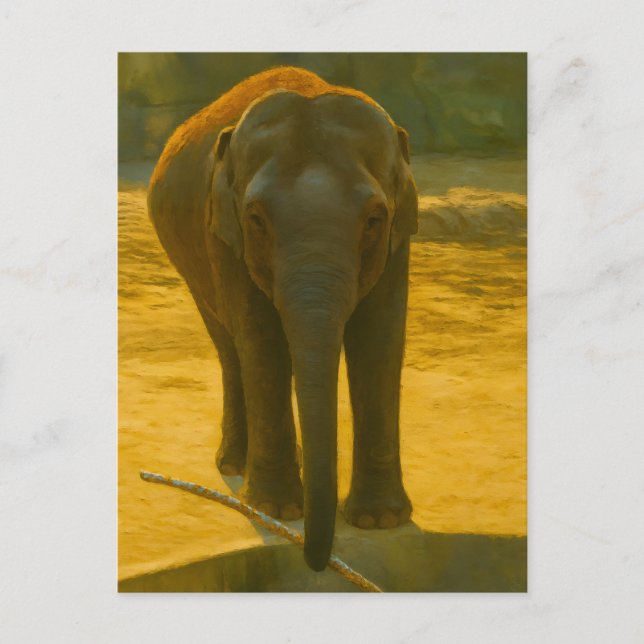 Carte Postale Sagesse des éléphants d'or - faune majestueuse (Devant)