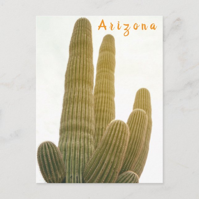 Carte Postale Saguaro (Devant)