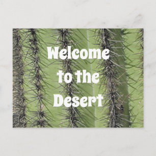 Carte Postale Saguaro Cactus Désert Photo Appréciation immobiliè