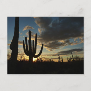 Carte Postale Saguaro Sunset II Arizona