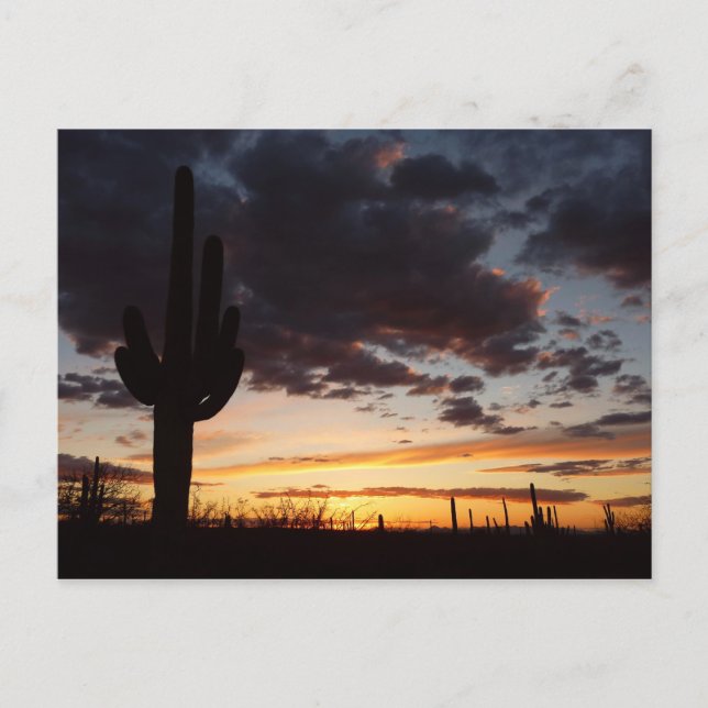 Carte Postale Saguaro Sunset III Arizona Desert Paysage (Devant)
