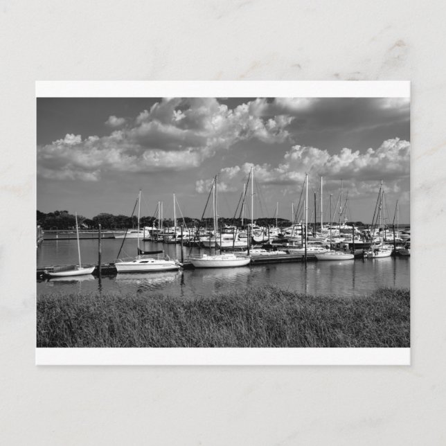 Carte Postale Sailboat Marina Landscape in Black and White (Devant)