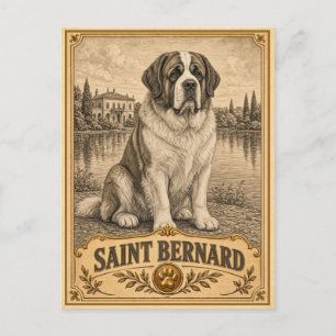 Carte Postale Saint Bernard, Chien du Patrimoine Vintage