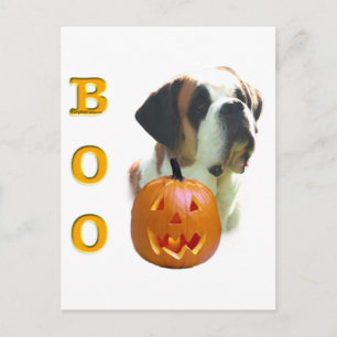 Carte Postale Saint Bernard (lisse) Boo