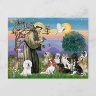 Carte Postale Saint François avec 10 chiens