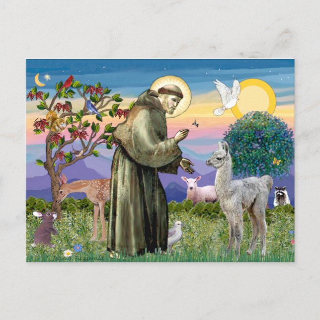 Carte Postale Saint François et bébé lama (Devant)