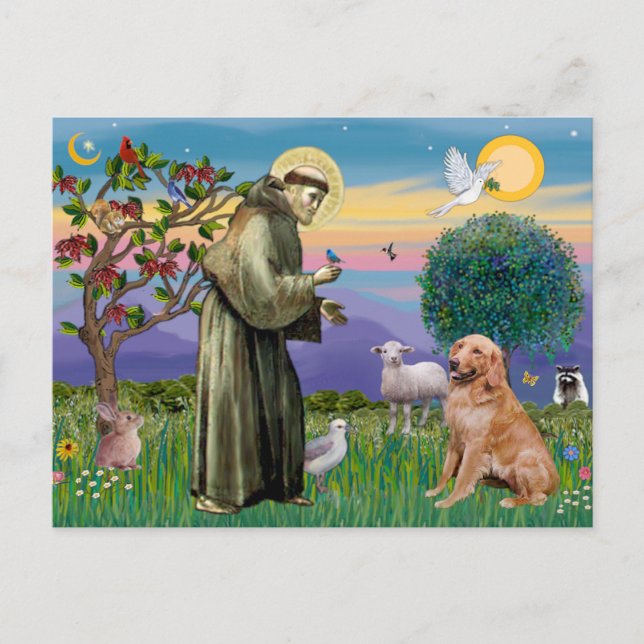 Carte Postale Saint François - Retriever doré (#1) (Devant)