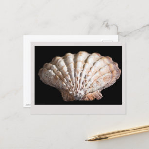 Carte Postale Saint Jacques 3236