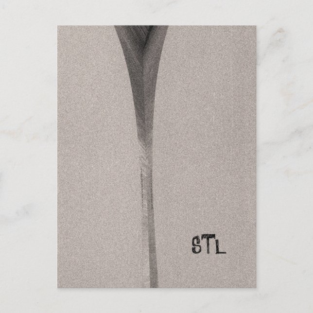 Carte Postale Saint Louis Arch (Devant)