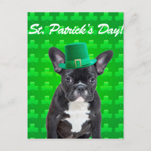Carte Postale Saint Patrick, Chien de taureau français