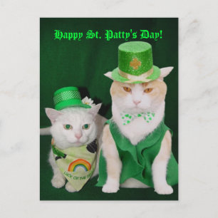 Carte Postale Saint Patrick Kitties