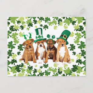 Carte Postale Saint Patrick's Day