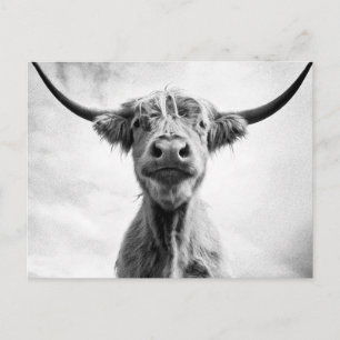 Carte Postale Saint Vache Mesotint Style Art Photographie L