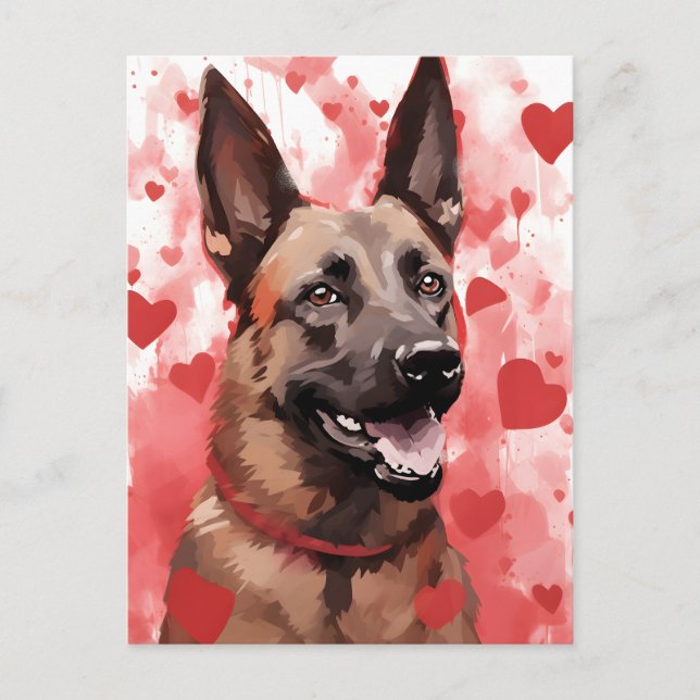Carte Postale Saint-Valentin Berger Malinois belge (Devant)