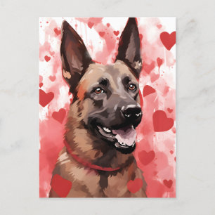 Carte Postale Saint-Valentin Malinois belge