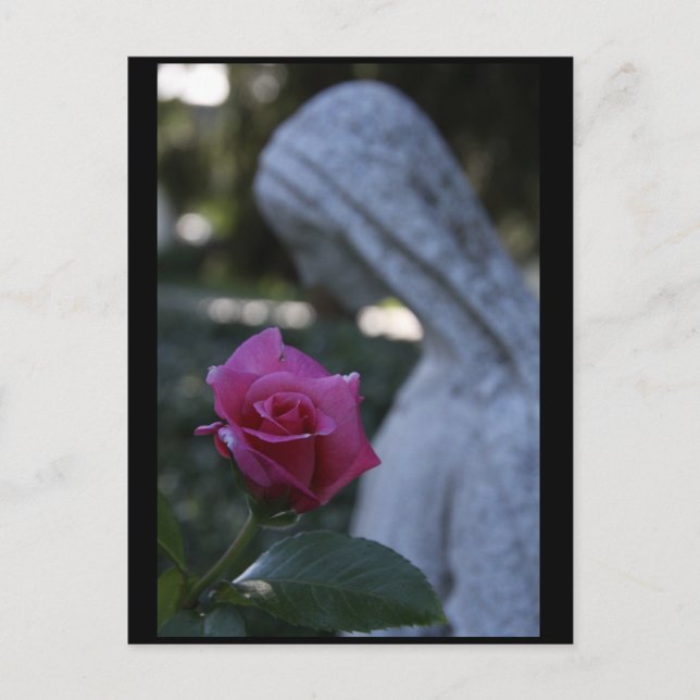 Carte Postale Sainte Vierge Marie & la Rose (Devant)