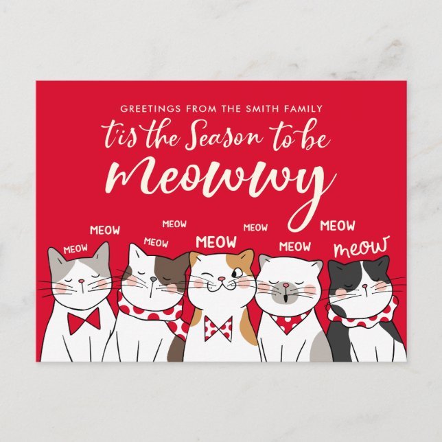 Carte Postale Saison De Chats Amusants Être Joyeux Salutation De (Devant)